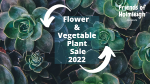 Friends of Holmleigh fundraising Flower & Vegetable Plant Sale 2022